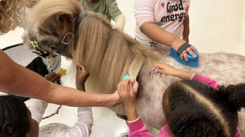 2025-Lights-On-PhotoEssay-Hopes-Promise-Ravi-at-ECLC