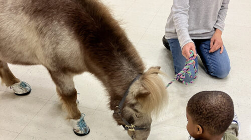 2025-Lights-On-PhotoEssay-Ravi-at-ECLC