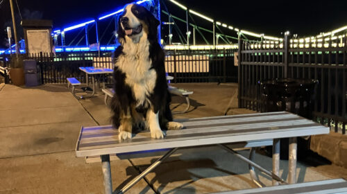 2025-Lights-On-PhotoEssay-Wally-and-Bridge