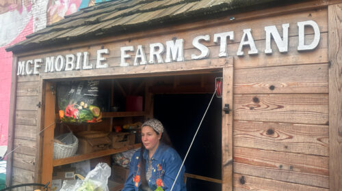 2025-Lights-On-PhotoEssay3